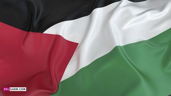  عکس پرچم فلسطین برای پروفایل