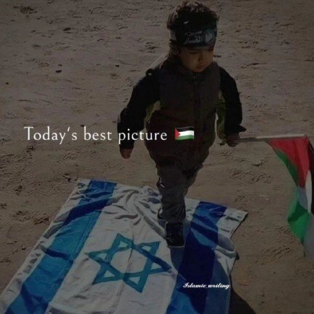  عکس فلسطین زیبا
