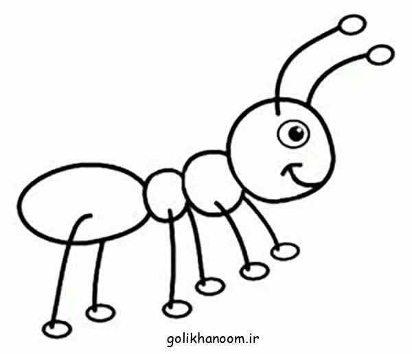  عکس نقاشی مورچه