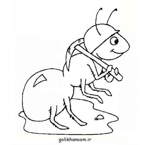  عکس نقاشی مورچه