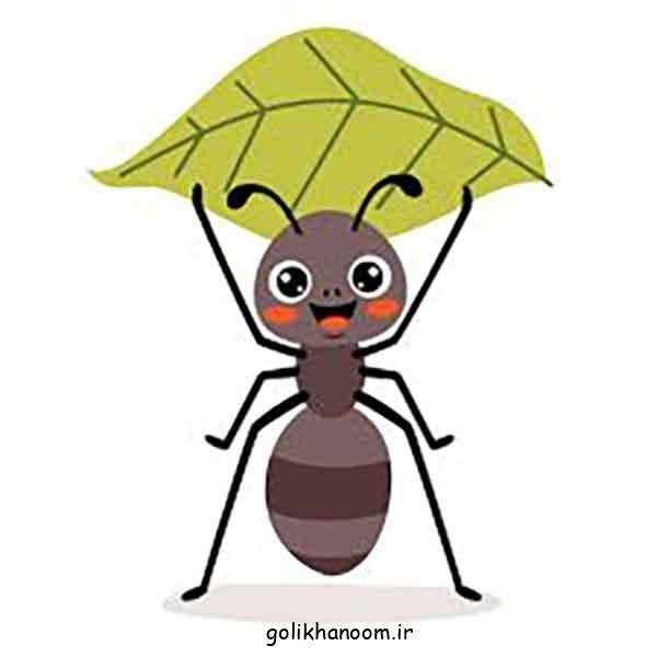  عکس نقاشی مورچه