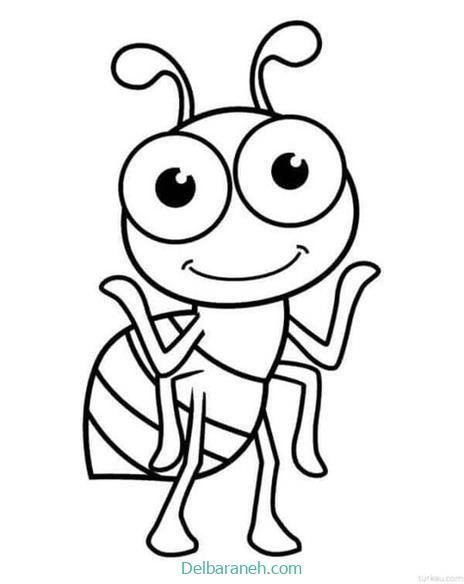  عکس نقاشی مورچه واقعی