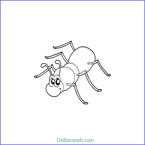  عکس نقاشی مورچه واقعی