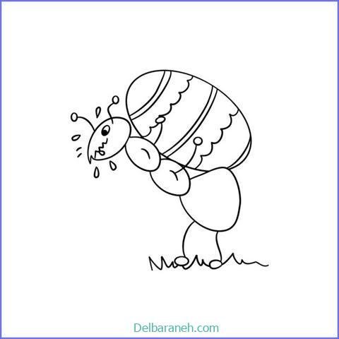  عکس نقاشی مورچه واقعی