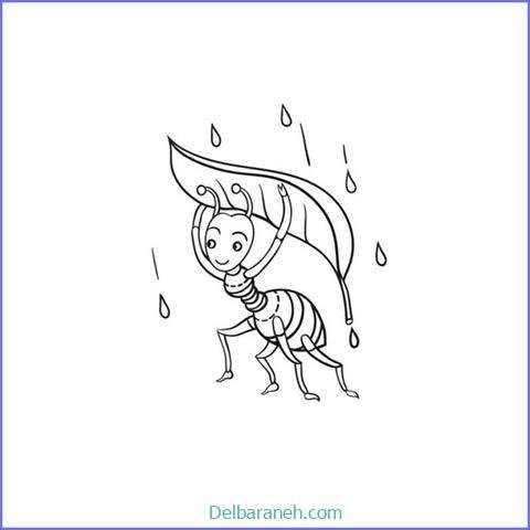  عکس نقاشی مورچه واقعی