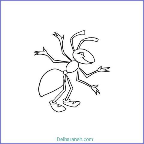  عکس نقاشی مورچه واقعی