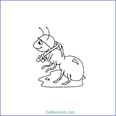  عکس نقاشی مورچه واقعی