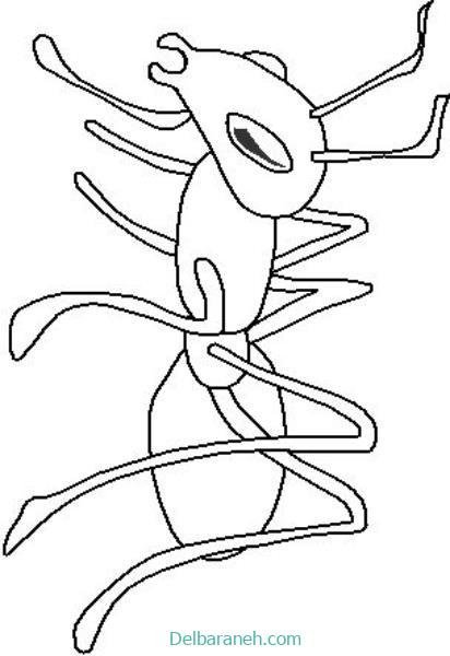  عکس نقاشی مورچه واقعی