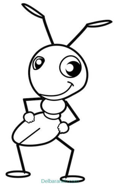  عکس نقاشی مورچه واقعی