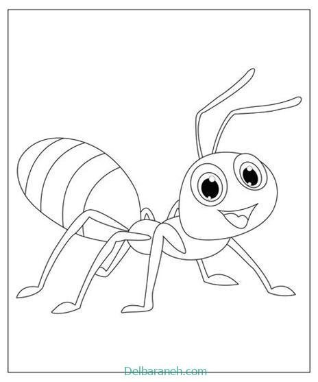  عکس نقاشی مورچه واقعی