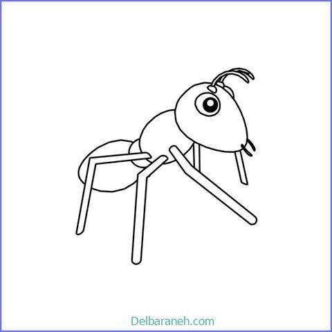  عکس نقاشی مورچه واقعی