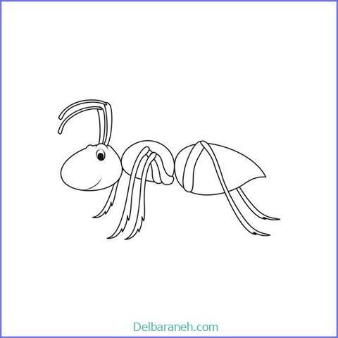  عکس نقاشی مورچه واقعی