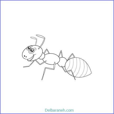  عکس نقاشی مورچه واقعی