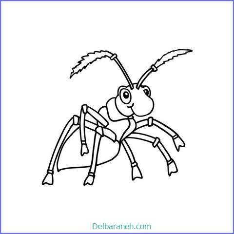  عکس نقاشی مورچه واقعی