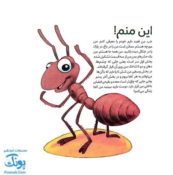  نقاشی مورچه فانتزی