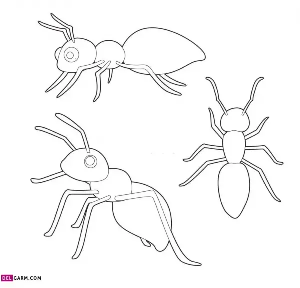  نقاشی مورچه فانتزی