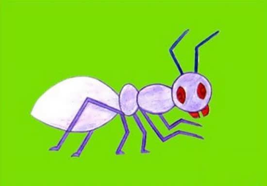  نقاشی مورچه زیبا