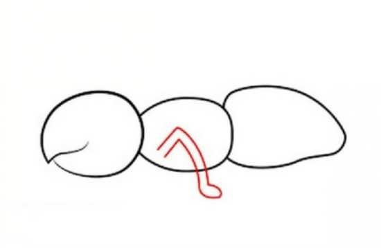  نقاشی مورچه زیبا