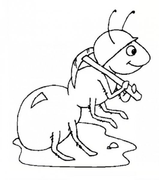  نقاشی مورچه زیبا