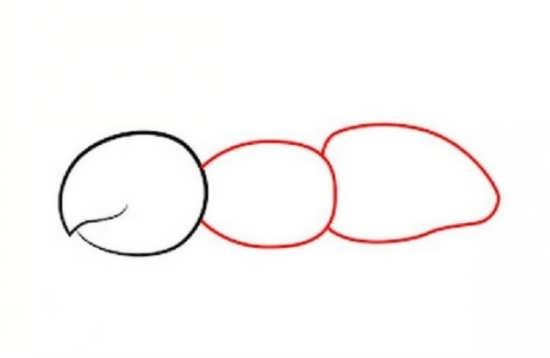  نقاشی مورچه زیبا