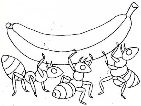  نقاشی مورچه زیبا