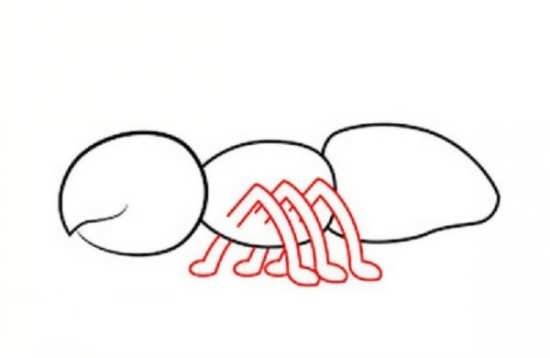  نقاشی مورچه زیبا