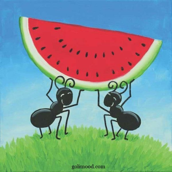  نقاشی مورچه آسان