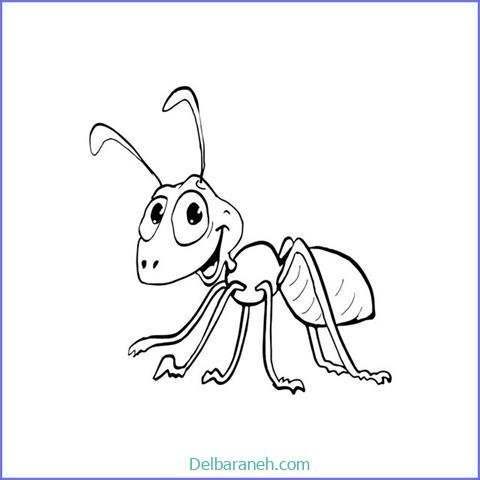  نقاشی مورچه کیوت