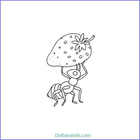  نقاشی مورچه کیوت