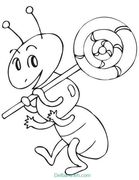  نقاشی مورچه کیوت