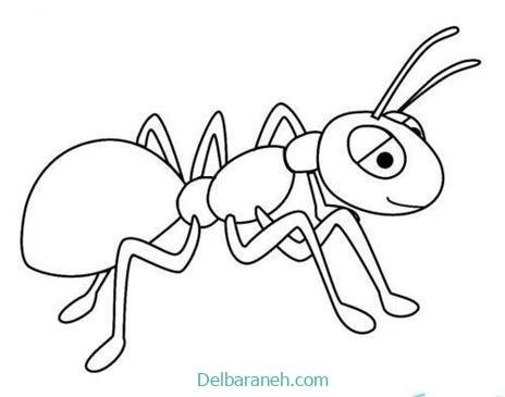  نقاشی مورچه کیوت