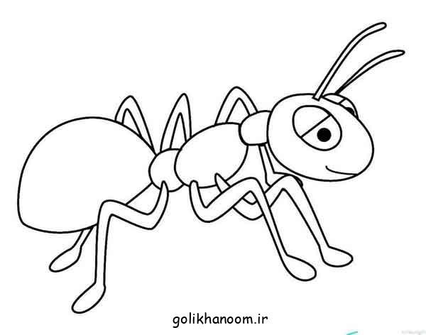  نقاشی مورچه کیوت