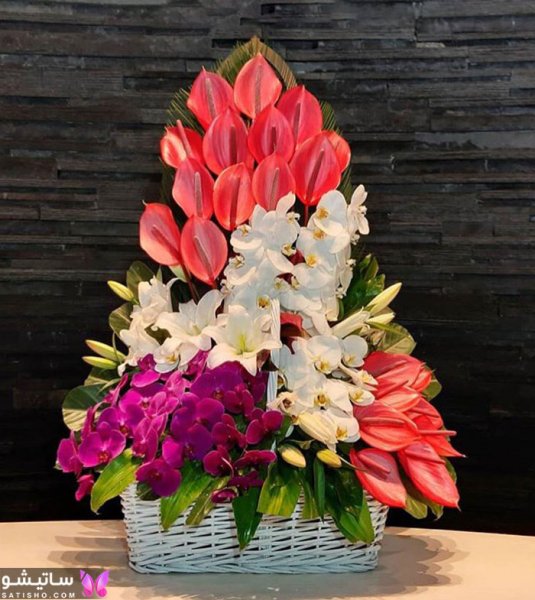  عکس گل خواستگاری طبیعی