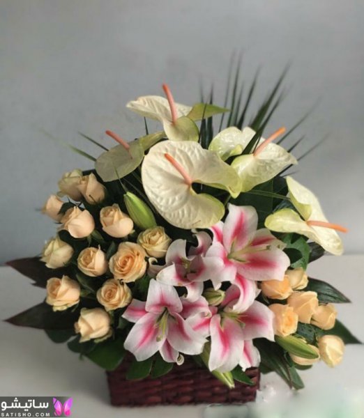  عکس گل خواستگاری طبیعی