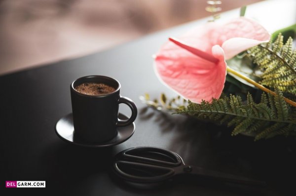  عکس های زیبا گل آنتوریوم