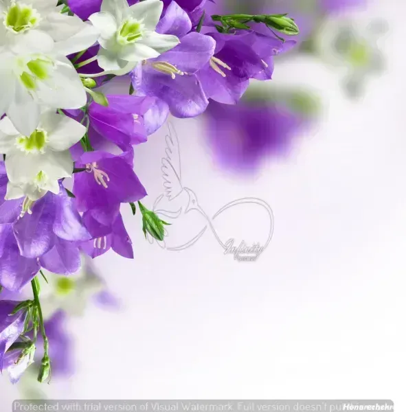  عکس های گل بنفشه زیبا برای پروفایل