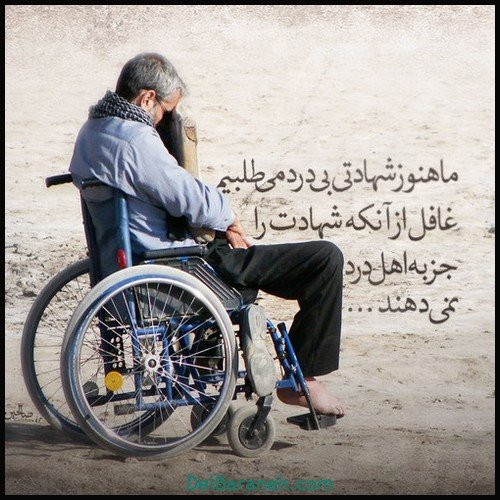  عکس روز جانباز