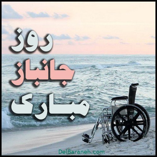  عکس روز جانباز