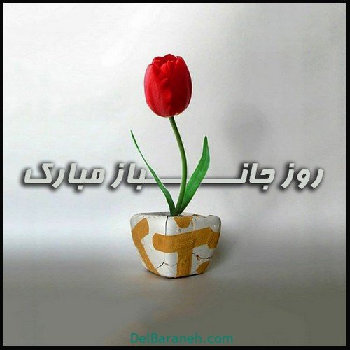  عکس روز جانباز