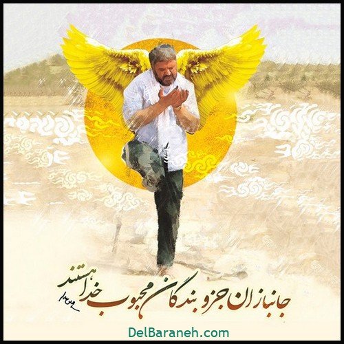  عکس روز جانباز