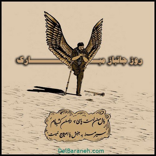  عکس روز جانباز