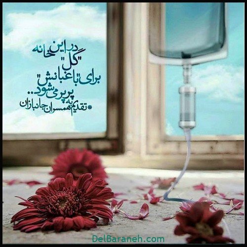  عکس روز جانباز