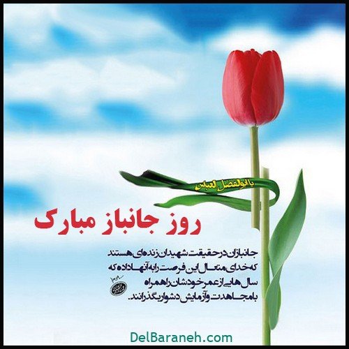  عکس روز جانباز