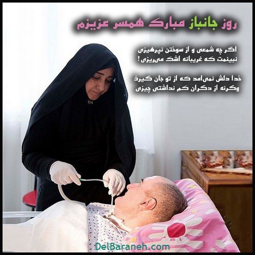  عکس روز جانباز