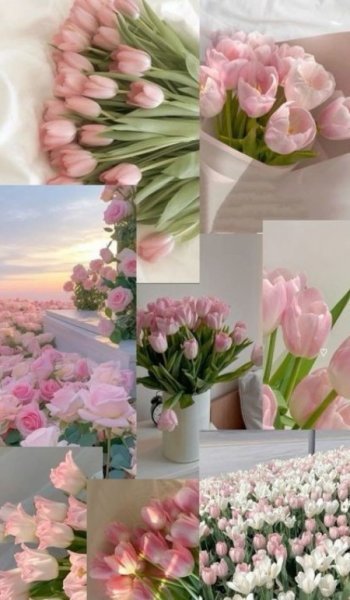  عکس گل آلاله برای پروفایل