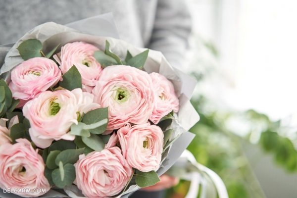  عکس انواع گل آلاله برای استوری