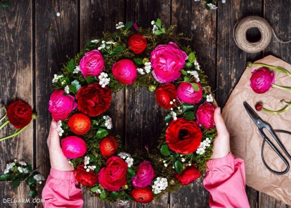  عکس گل آلاله کوهی