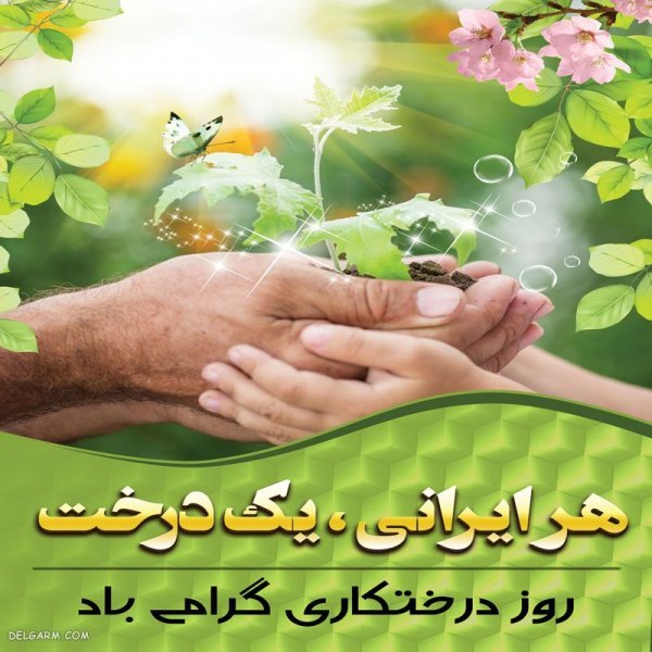 عکس نوشته برای روز درختکاری برای استوری