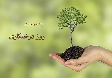 عکس روز درختکاری