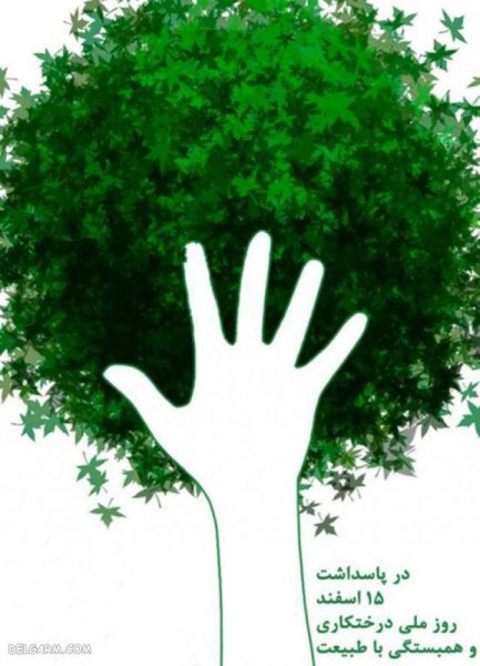  عکس روز درختکاری